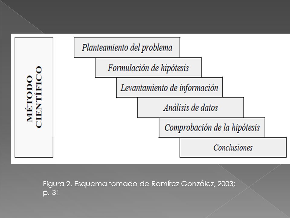 Figura 2. Esquema tomado de Ramírez González, 2003; p. 31