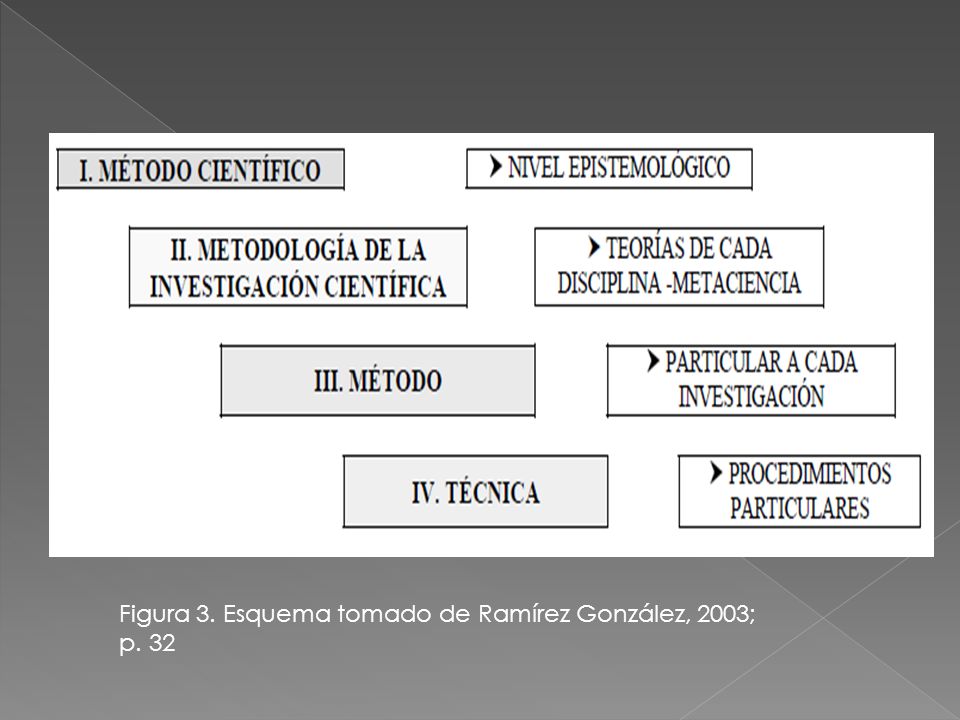 Figura 3. Esquema tomado de Ramírez González, 2003; p. 32