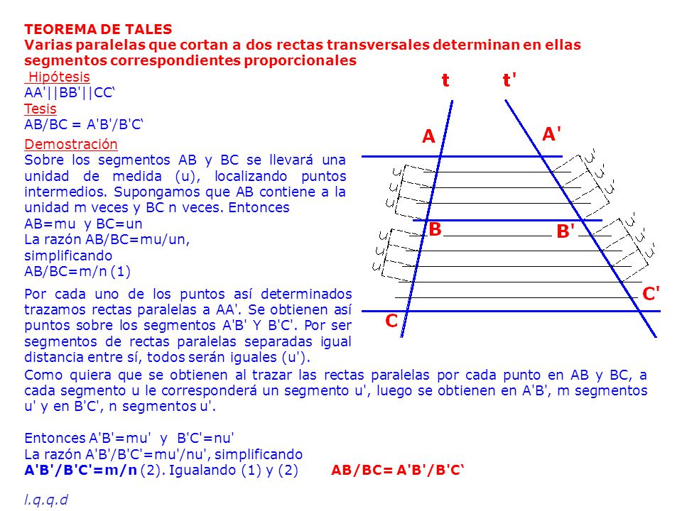 TEOREMA DE TALES Varias paralelas que cortan a dos rectas transversales determinan en ellas segmentos correspondientes proporcionales.