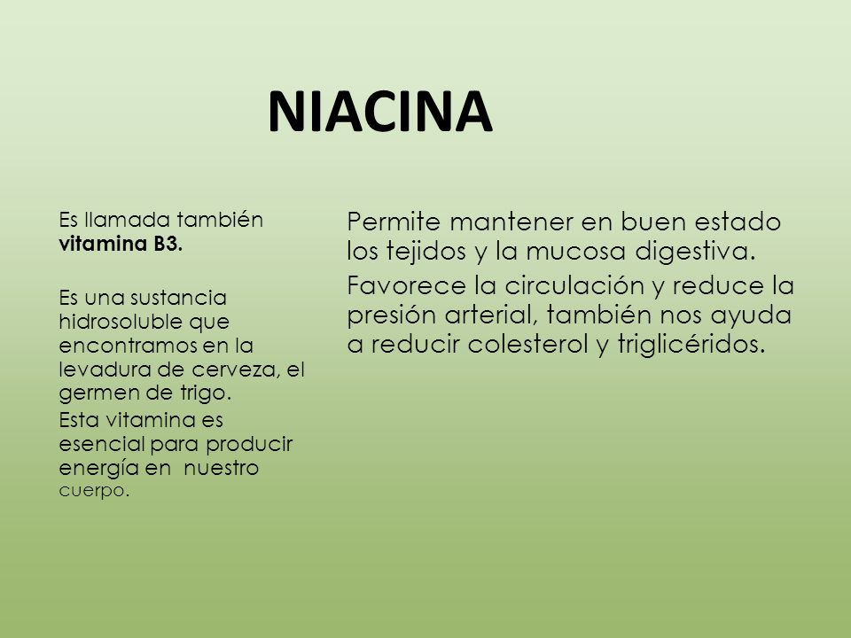NIACINA Es llamada también vitamina B3. Es una sustancia hidrosoluble que encontramos en la levadura de cerveza, el germen de trigo.