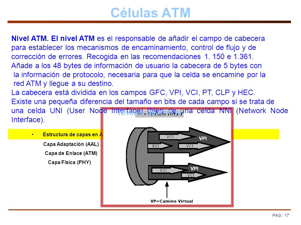 Estructura de capas en ATM