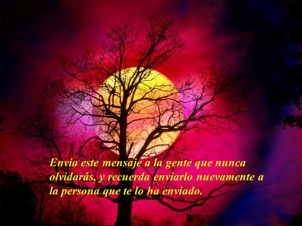 Envía este mensaje a la gente que nunca olvidarás, y recuerda enviarlo nuevamente a la persona que te lo ha enviado.
