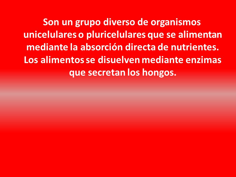 Son un grupo diverso de organismos unicelulares o pluricelulares que se alimentan mediante la absorción directa de nutrientes.