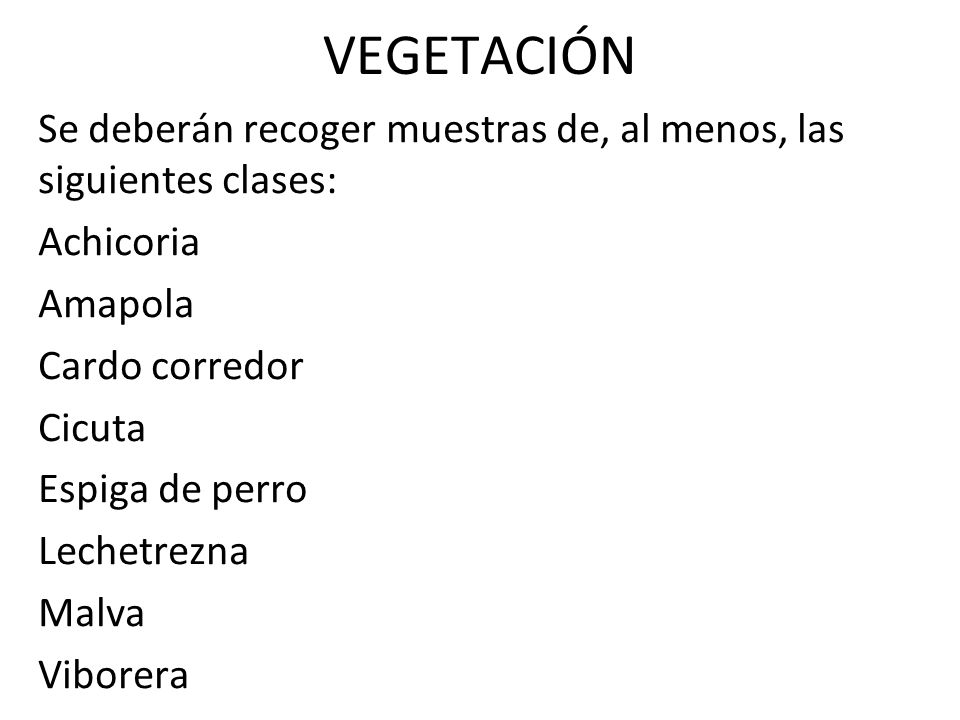 VEGETACIÓN Se deberán recoger muestras de, al menos, las siguientes clases: Achicoria. Amapola. Cardo corredor.