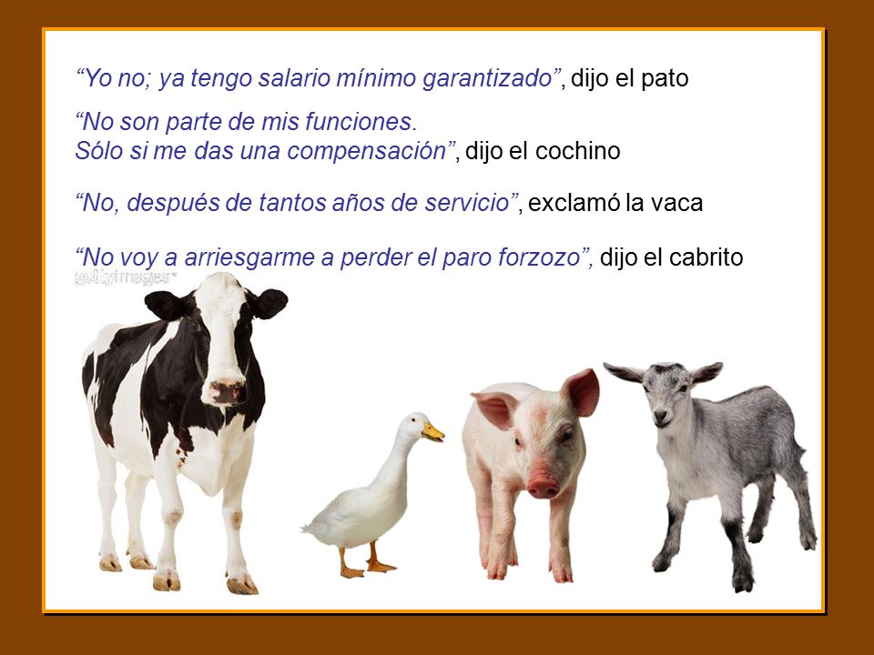 Yo no; ya tengo salario mínimo garantizado , dijo el pato