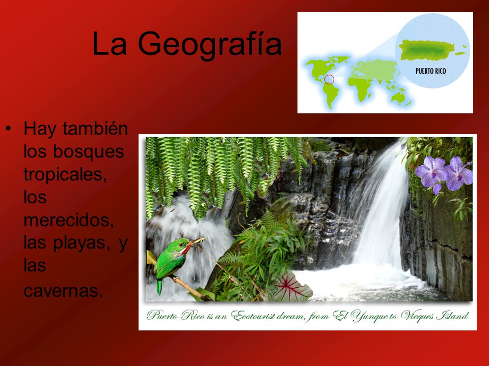 La Geografía Hay también los bosques tropicales, los merecidos, las playas, y las cavernas.