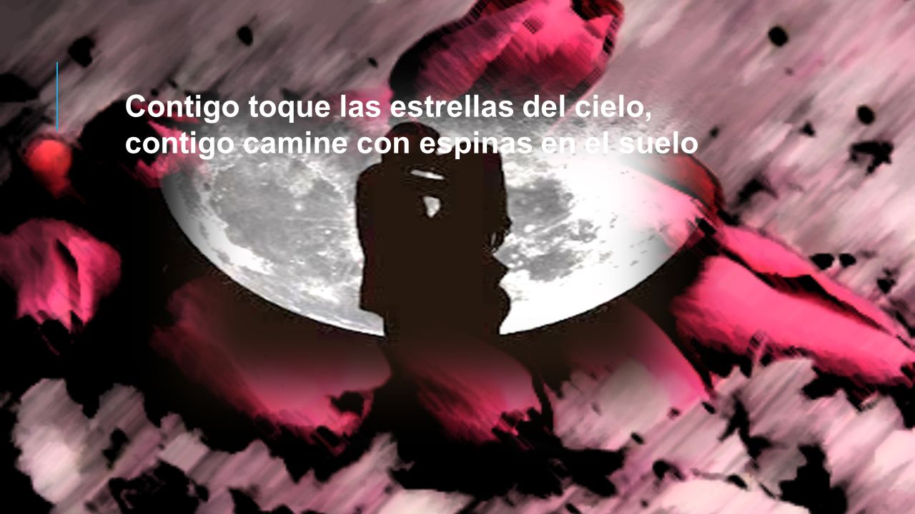 Contigo toque las estrellas del cielo, contigo camine con espinas en el suelo