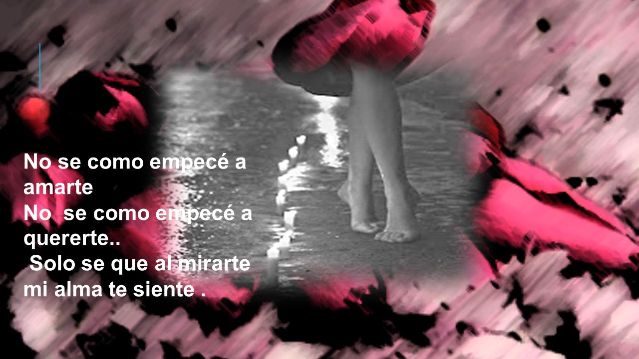 No se como empecé a amarte No se como empecé a quererte