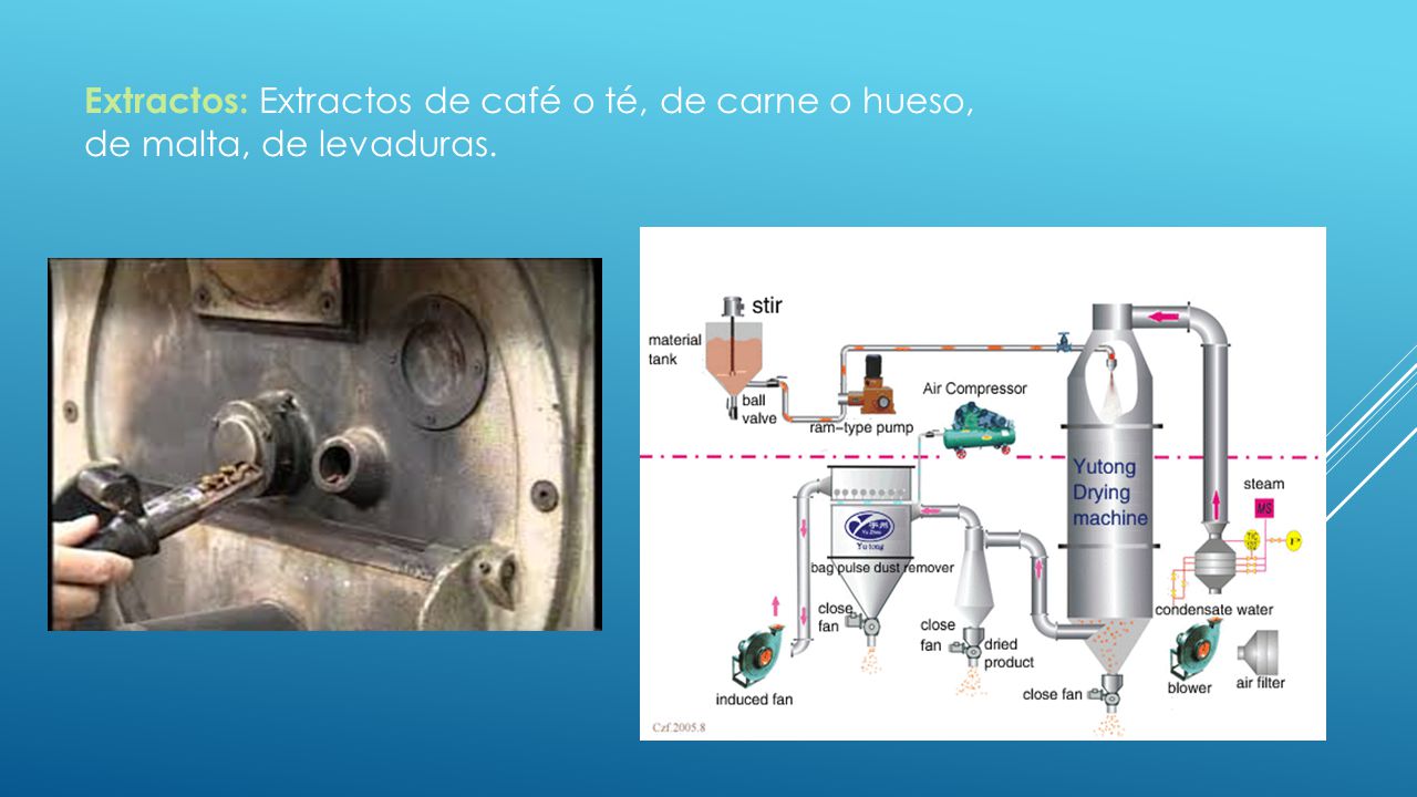 Extractos: Extractos de café o té, de carne o hueso, de malta, de levaduras.