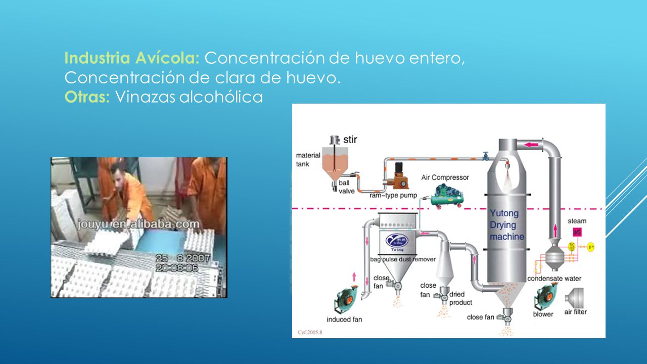 Industria Avícola: Concentración de huevo entero, Concentración de clara de huevo.