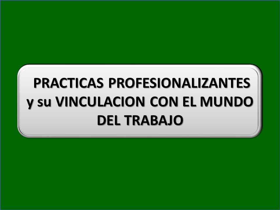 PRACTICAS PROFESIONALIZANTES y su VINCULACION CON EL MUNDO DEL TRABAJO