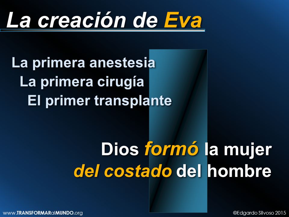 La creación de Eva Dios formó la mujer del costado del hombre