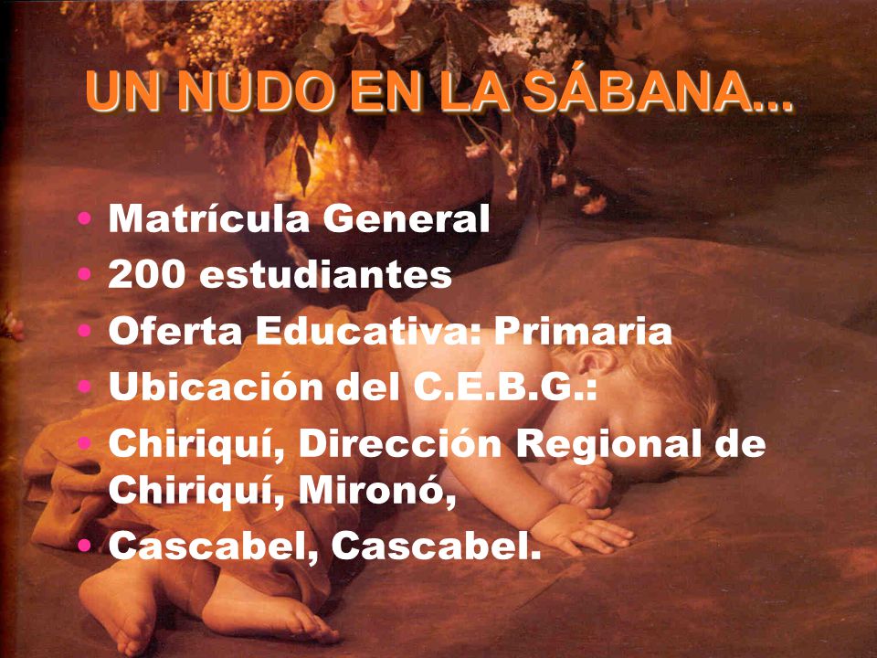 Matrícula General 200 estudiantes. Oferta Educativa: Primaria. Ubicación del C.E.B.G.: Chiriquí, Dirección Regional de Chiriquí, Mironó,