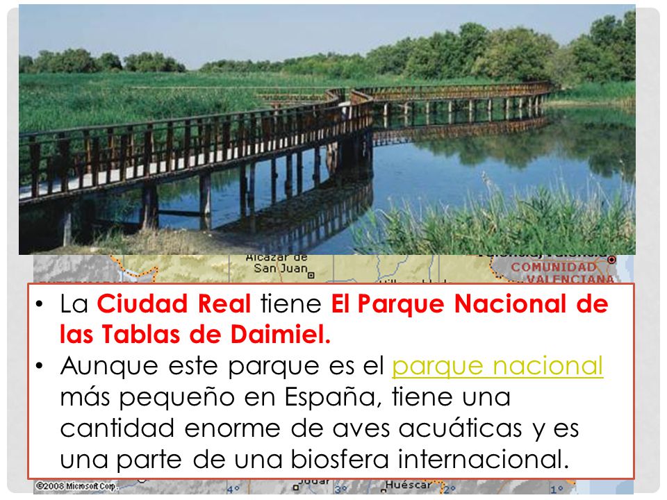 La Ciudad Real tiene El Parque Nacional de las Tablas de Daimiel.