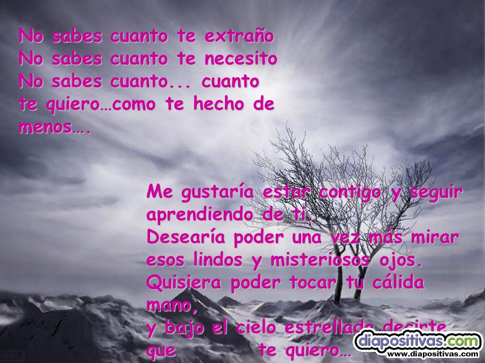 No sabes cuanto te extraño No sabes cuanto te necesito No sabes cuanto