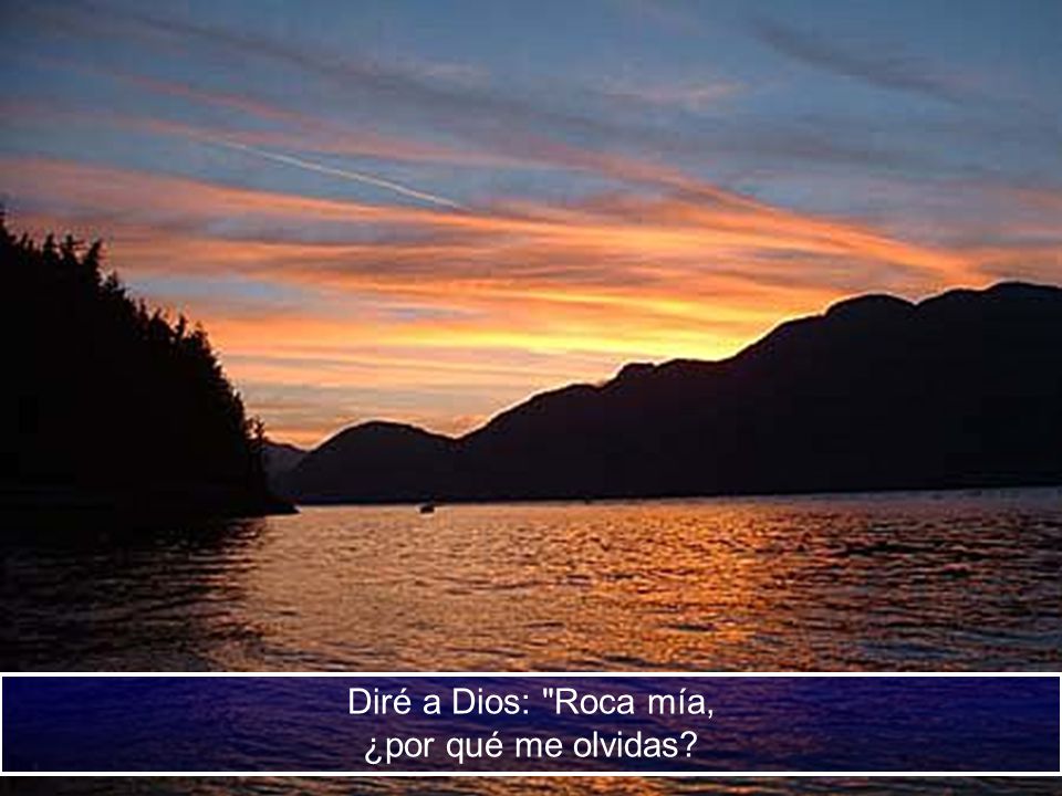 Diré a Dios: Roca mía, ¿por qué me olvidas