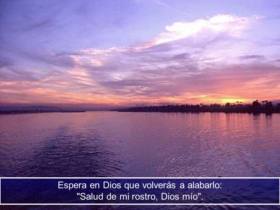 Espera en Dios que volverás a alabarlo: Salud de mi rostro, Dios mío .