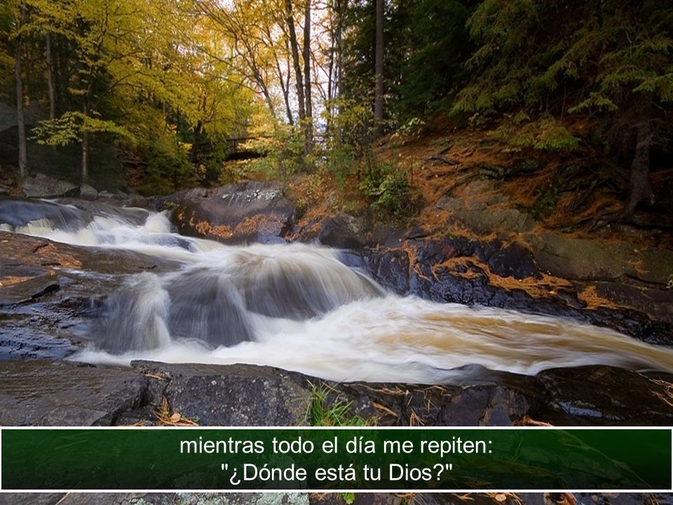 mientras todo el día me repiten: ¿Dónde está tu Dios