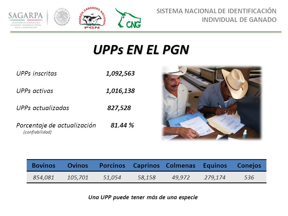 UPPs EN EL PGN SISTEMA NACIONAL DE IDENTIFICACIÓN INDIVIDUAL DE GANADO