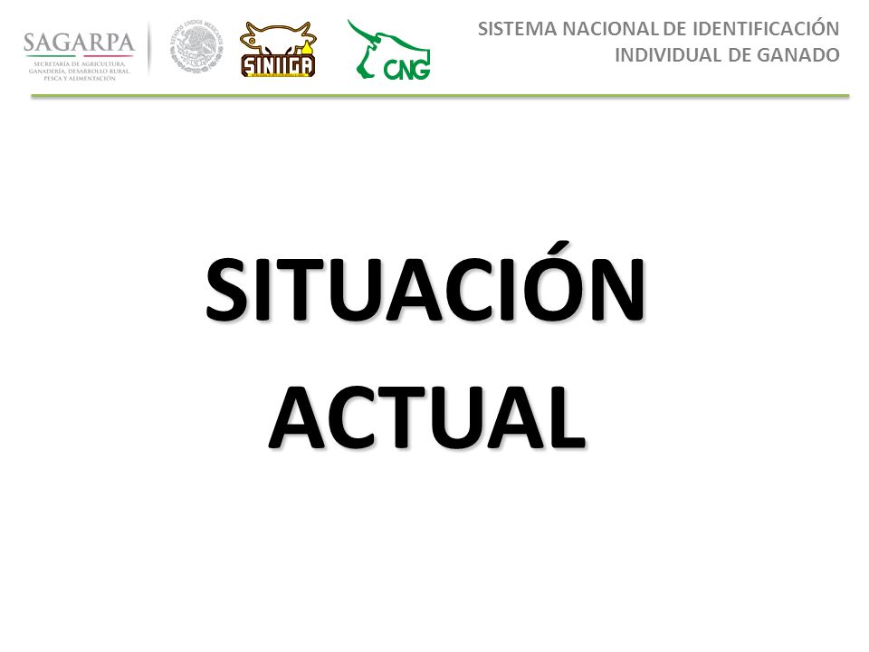 SITUACIÓN ACTUAL SISTEMA NACIONAL DE IDENTIFICACIÓN