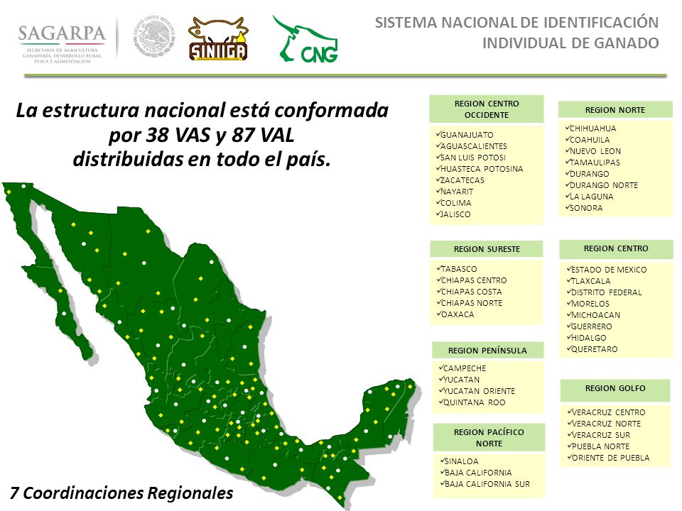 La estructura nacional está conformada por 38 VAS y 87 VAL