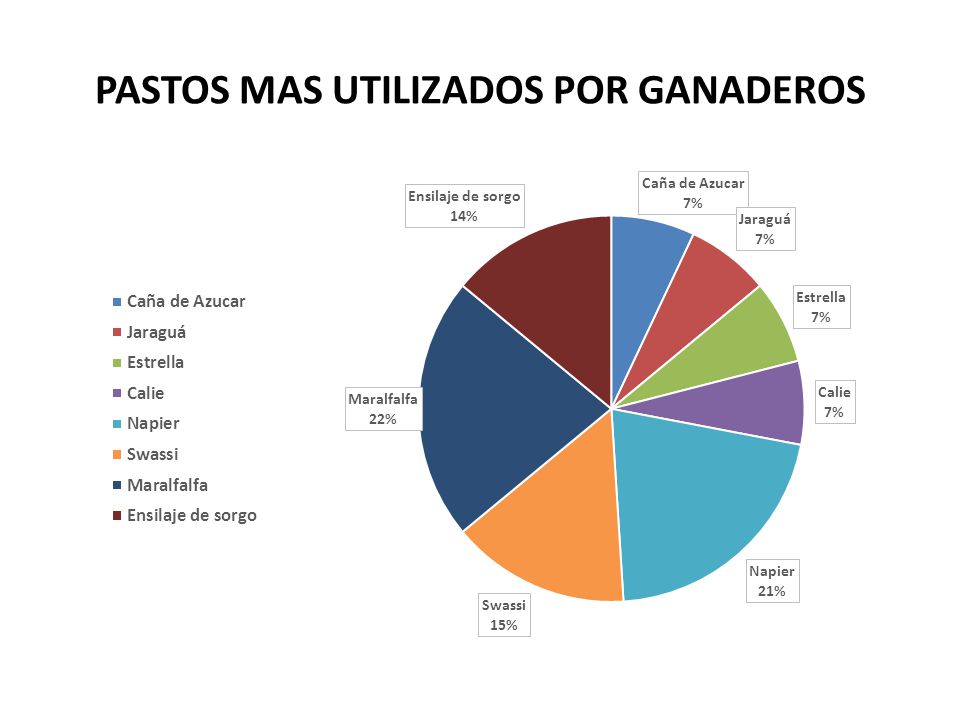 PASTOS MAS UTILIZADOS POR GANADEROS