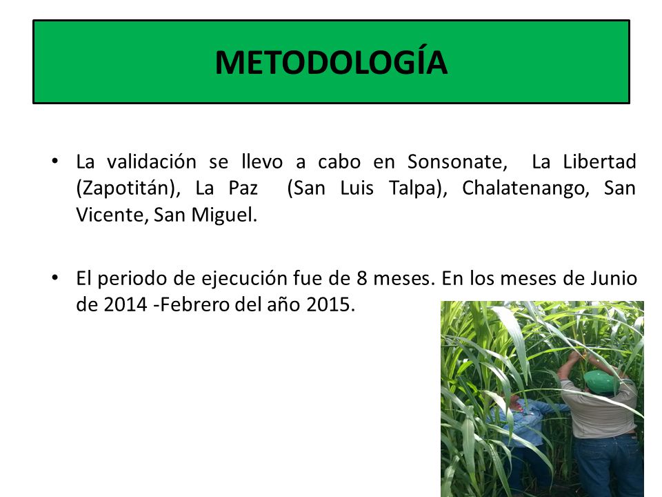 METODOLOGÍA La validación se llevo a cabo en Sonsonate, La Libertad (Zapotitán), La Paz (San Luis Talpa), Chalatenango, San Vicente, San Miguel.