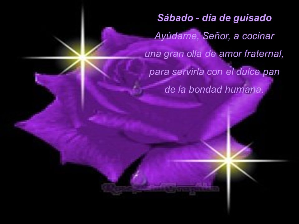 Ayúdame, Señor, a cocinar una gran olla de amor fraternal,