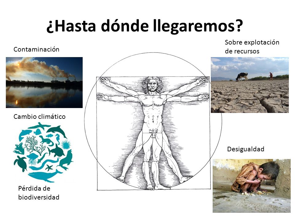 ¿Hasta dónde llegaremos