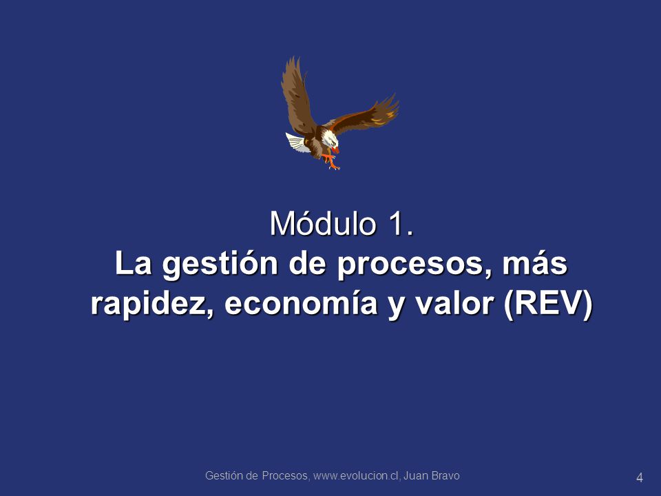Módulo 1. La gestión de procesos, más rapidez, economía y valor (REV)