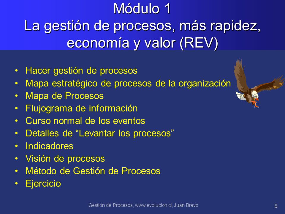Módulo 1 La gestión de procesos, más rapidez, economía y valor (REV)