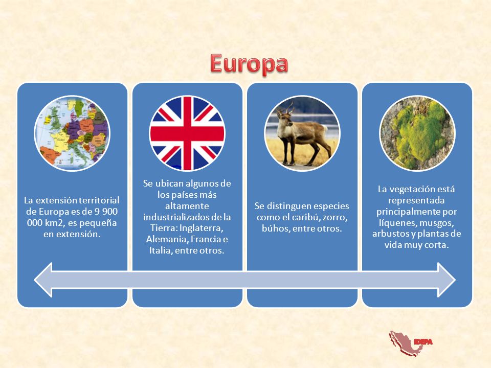 Se distinguen especies como el caribú, zorro, búhos, entre otros.