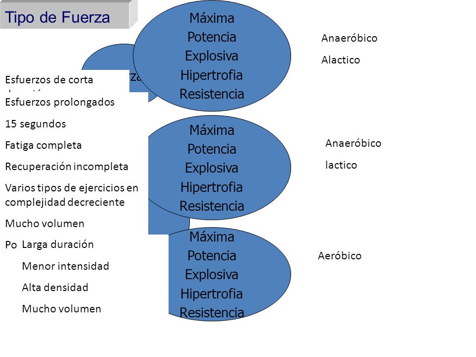 Tipo de Fuerza Máxima Potencia Explosiva Hipertrofia Resistencia