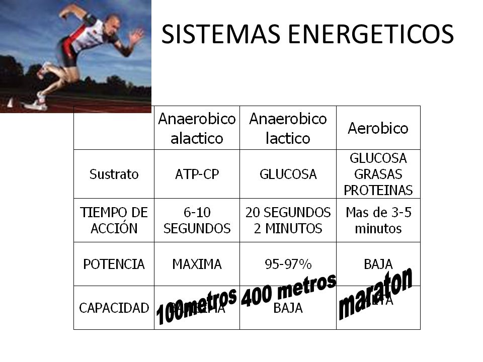 SISTEMAS ENERGETICOS maraton 400 metros 100metros