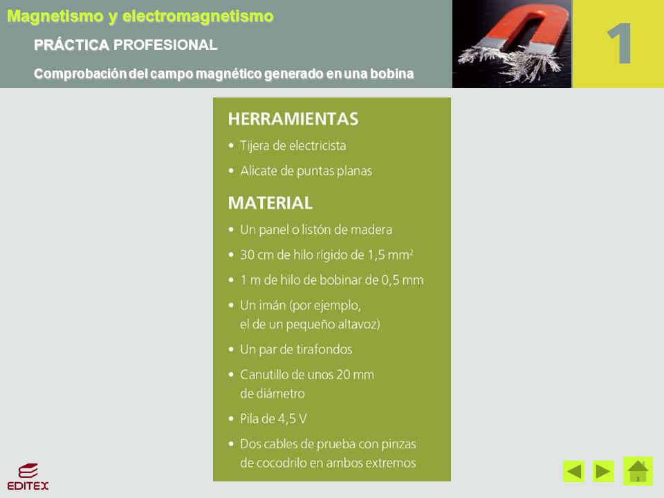 PRÁCTICA PROFESIONAL Comprobación del campo magnético generado en una bobina