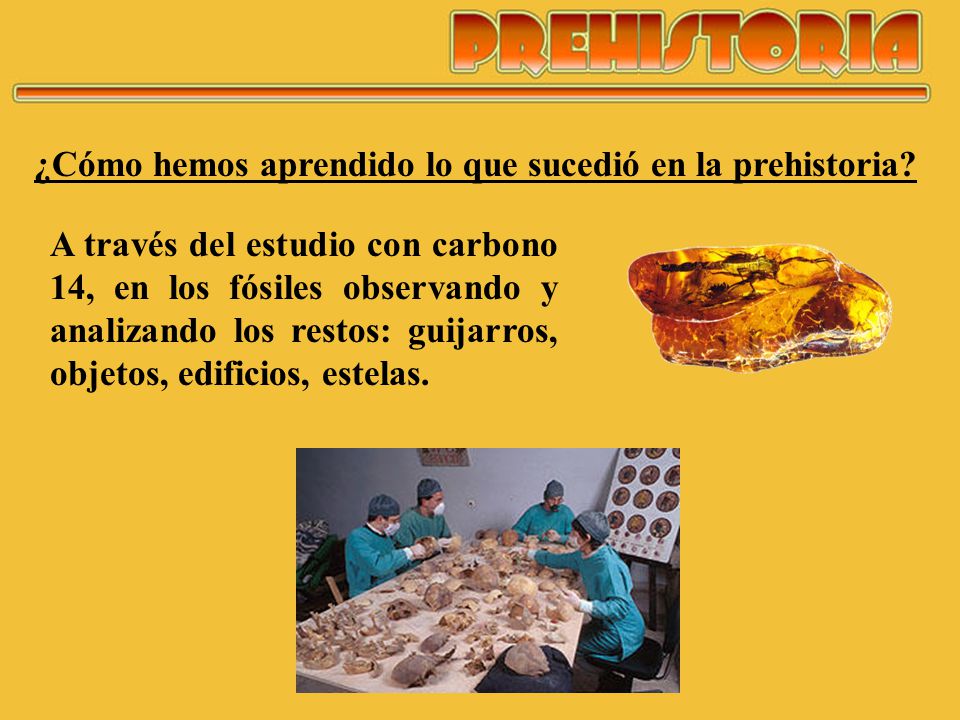 ¿Cómo hemos aprendido lo que sucedió en la prehistoria