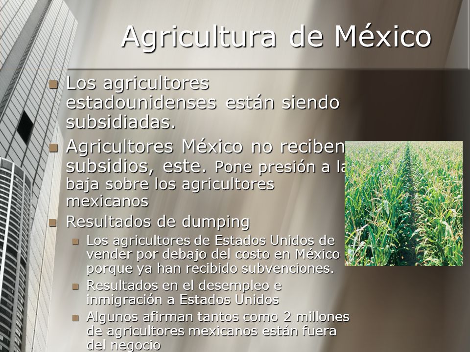 Agricultura de México Los agricultores estadounidenses están siendo subsidiadas.