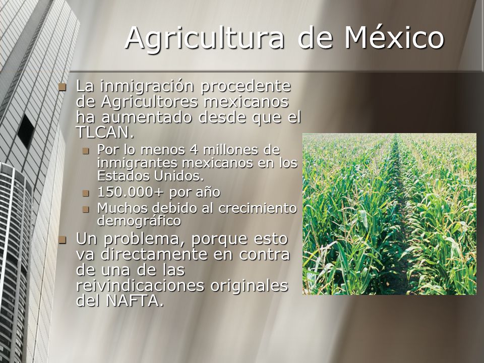 Agricultura de México La inmigración procedente de Agricultores mexicanos ha aumentado desde que el TLCAN.