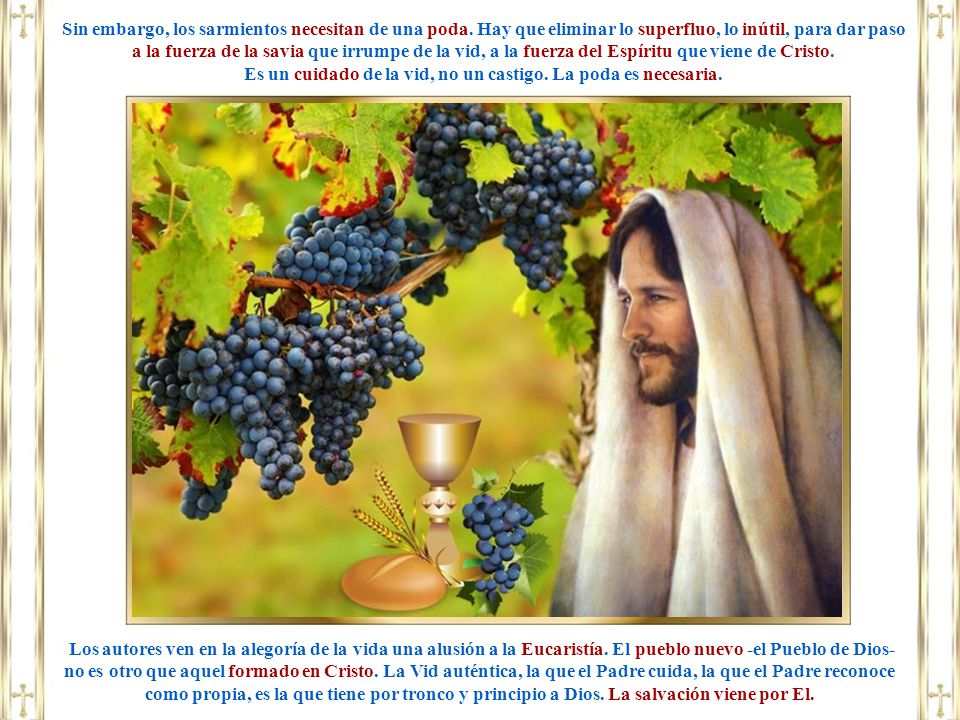 Es un cuidado de la vid, no un castigo. La poda es necesaria.