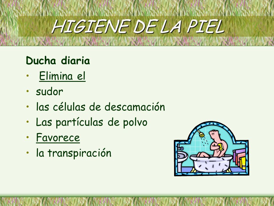 HIGIENE DE LA PIEL Ducha diaria Elimina el sudor