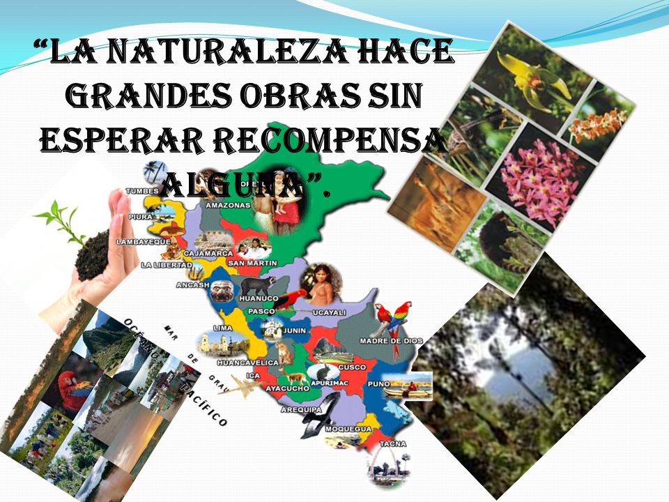 La naturaleza hace grandes obras sin esperar recompensa alguna .