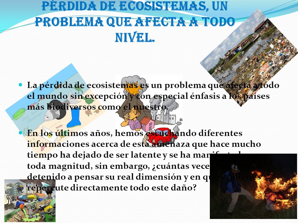 pérdida de ecosistemas, un problema que afecta a todo nivel.