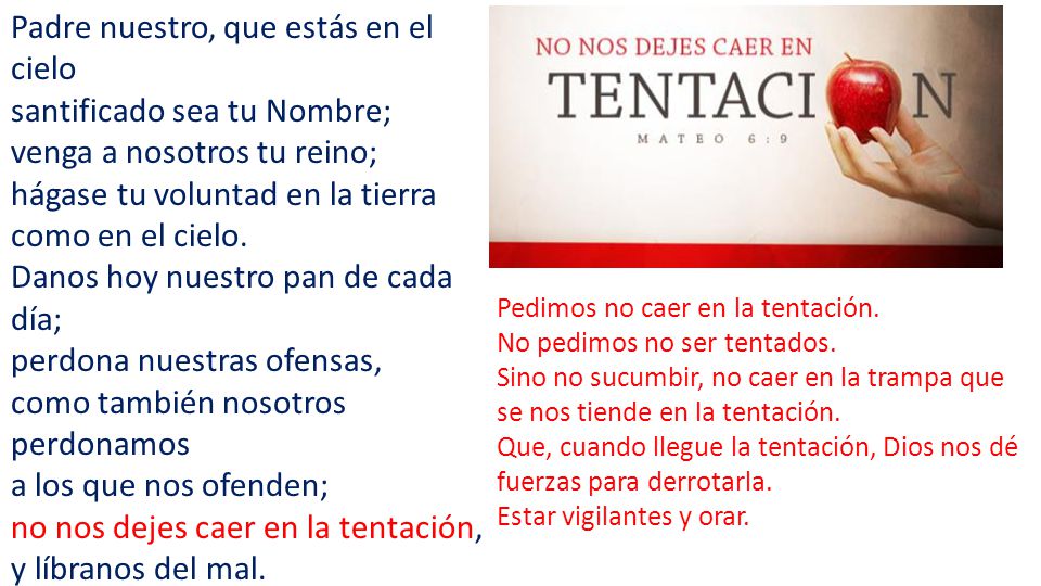 Padre nuestro, que estás en el cielo santificado sea tu Nombre;
