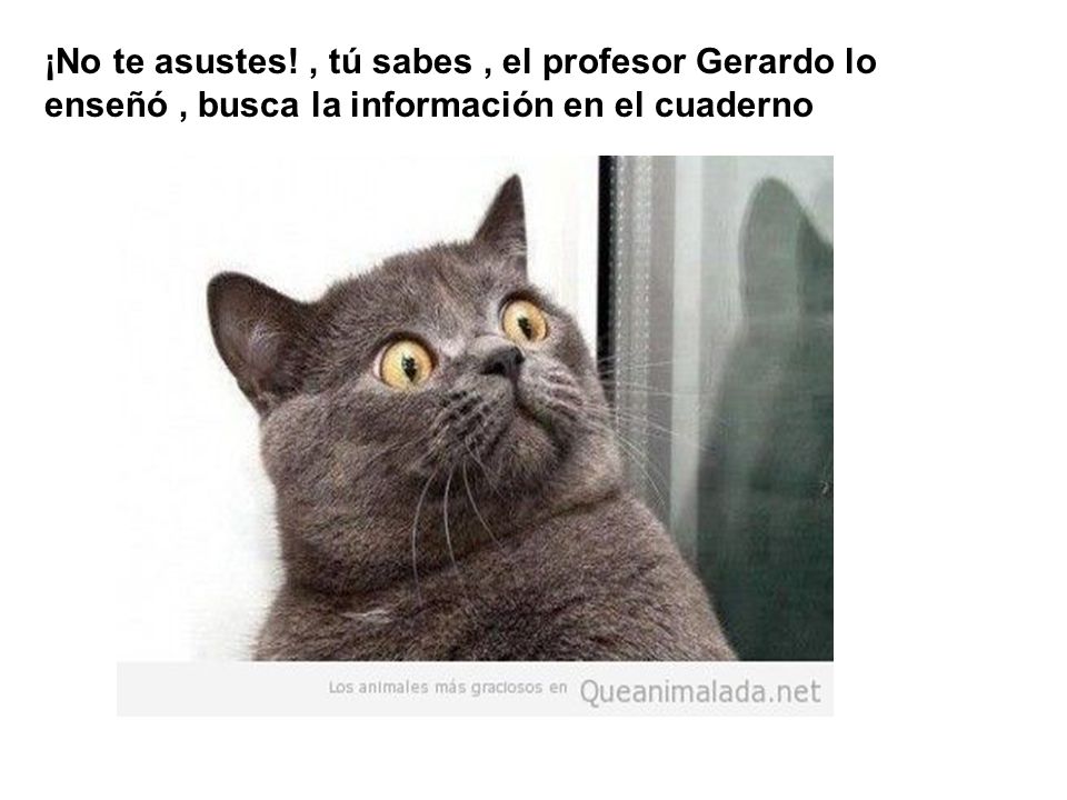 ¡No te asustes! , tú sabes , el profesor Gerardo lo enseñó , busca la información en el cuaderno