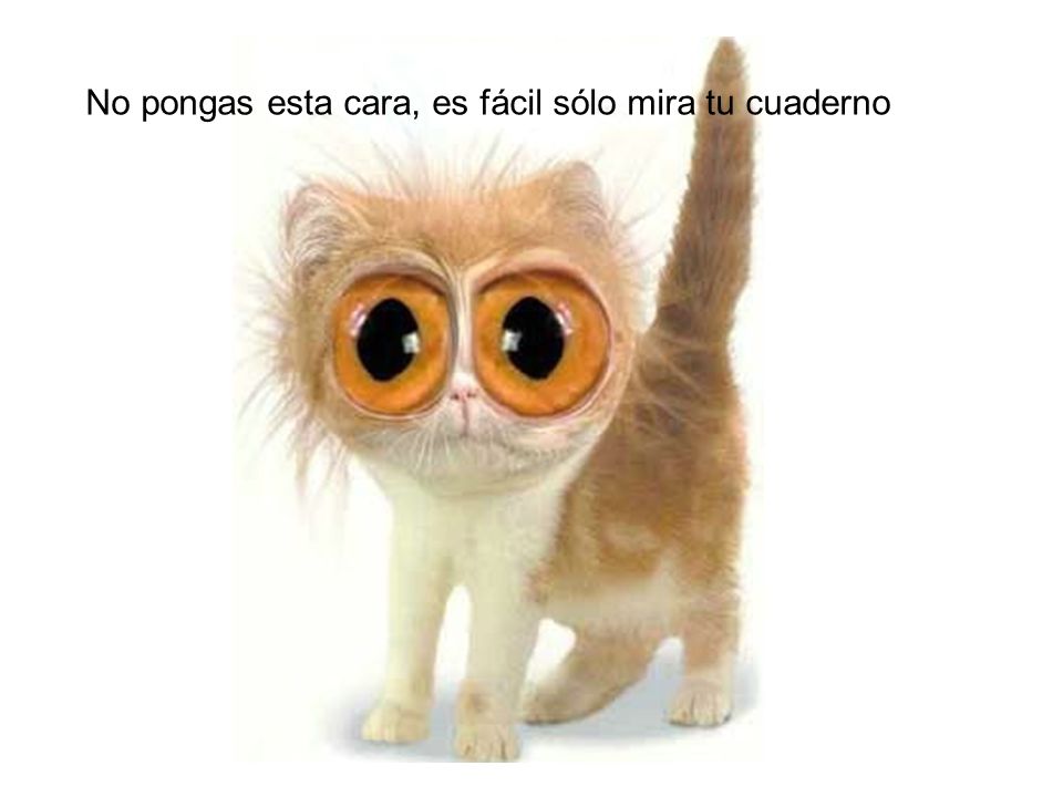 No pongas esta cara, es fácil sólo mira tu cuaderno