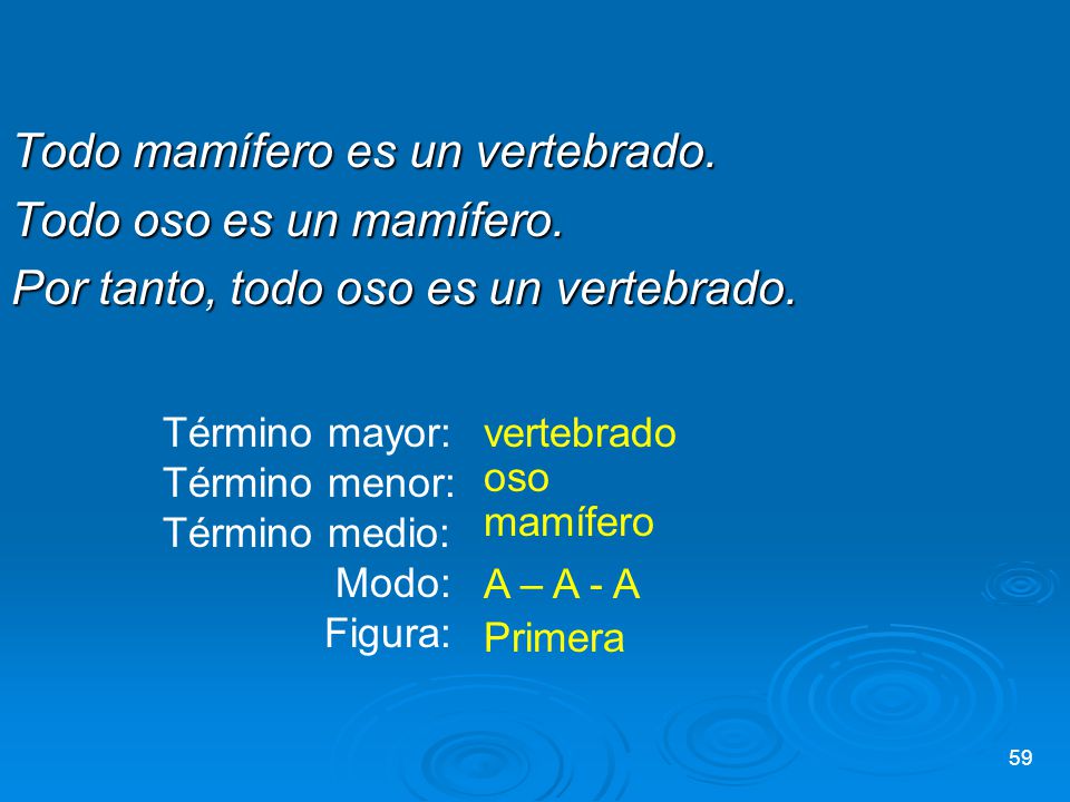 Todo mamífero es un vertebrado. Todo oso es un mamífero.