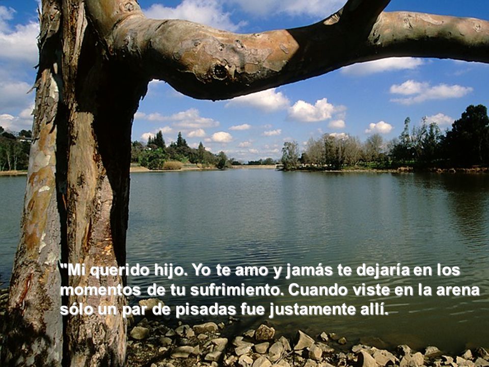 Mi querido hijo. Yo te amo y jamás te dejaría en los