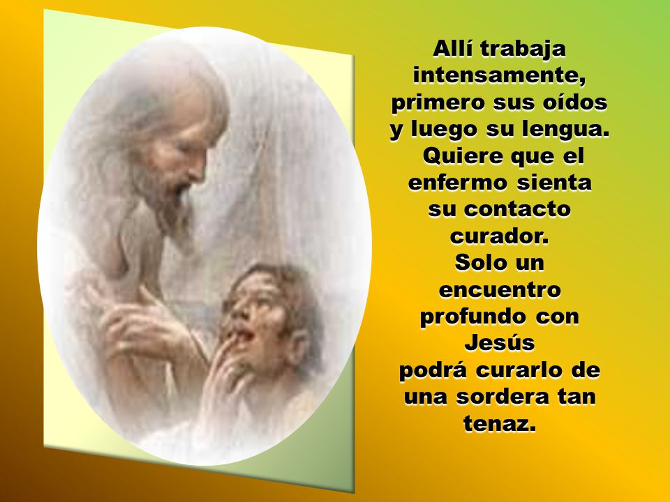 Allí trabaja intensamente, primero sus oídos y luego su lengua.