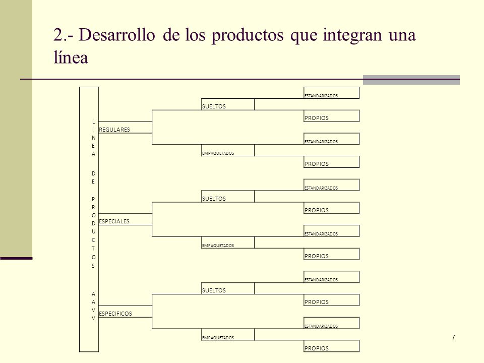 2.- Desarrollo de los productos que integran una línea