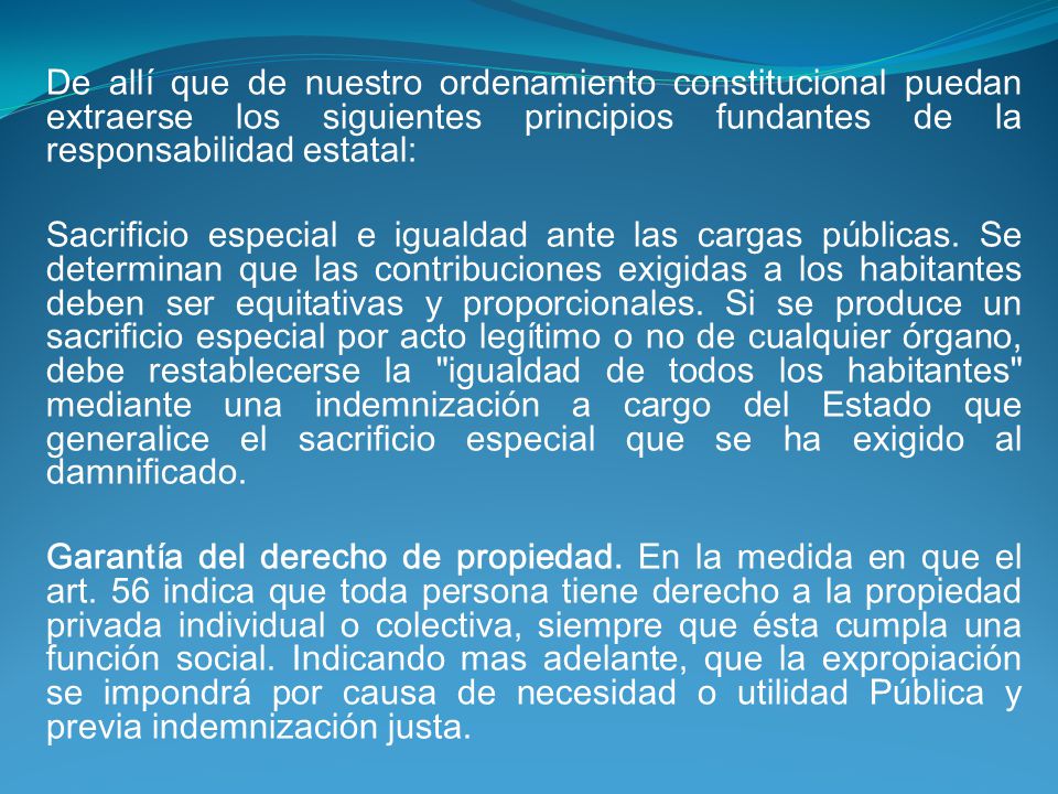 De allí que de nuestro ordenamiento constitucional puedan extraerse los siguientes principios fundantes de la responsabilidad estatal: